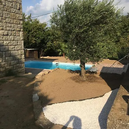 Bottega Apartament *