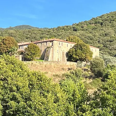 Bottega * Petreto-Bicchisano