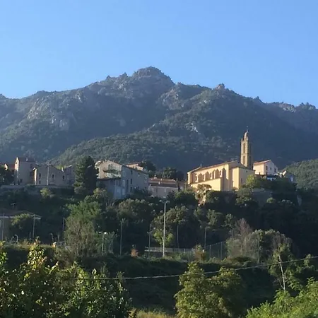 Bottega * Petreto-Bicchisano