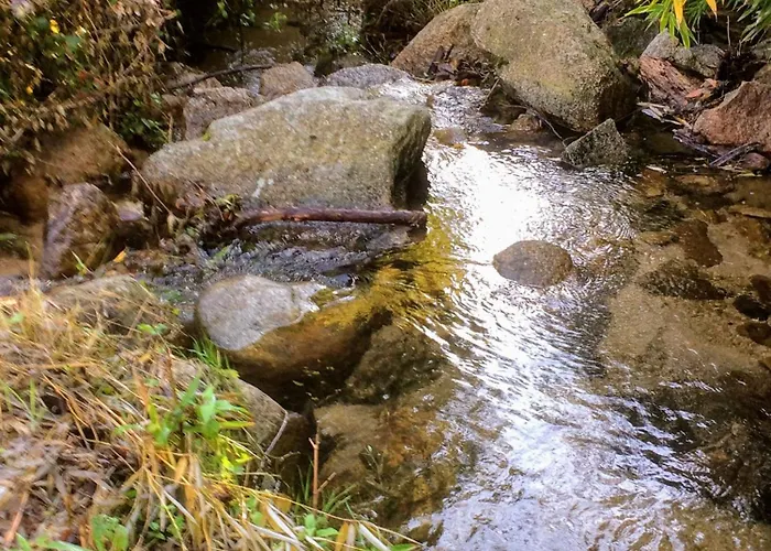 Appartement Bottega Petreto-Bicchisano