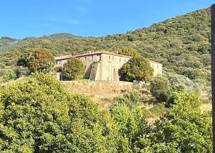 Bottega * Petreto-Bicchisano