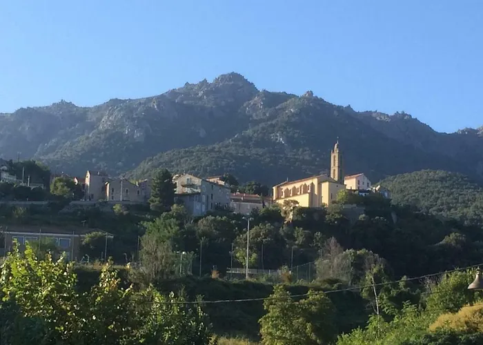 Bottega * Petreto-Bicchisano